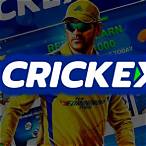 crickex bet